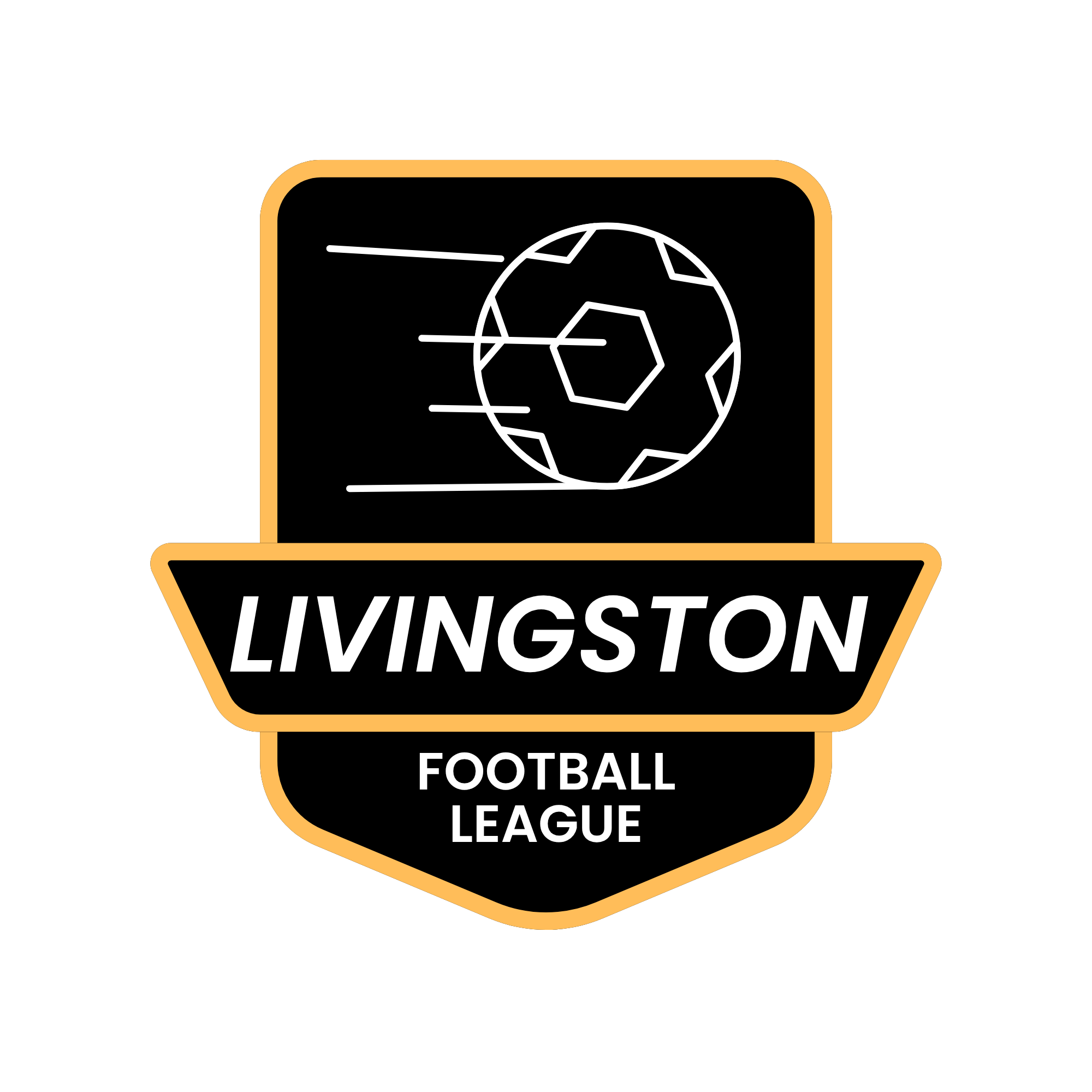 The Livingston Football League